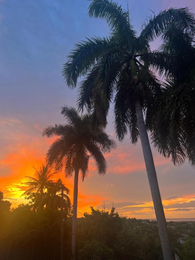 فندق Peaceful Palms مونتيغو باي المظهر الخارجي الصورة