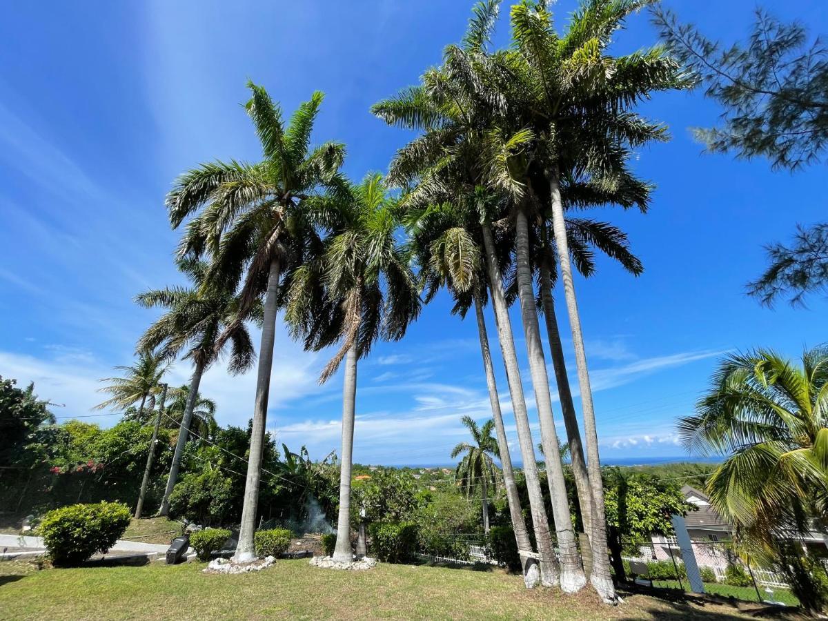 فندق Peaceful Palms مونتيغو باي المظهر الخارجي الصورة