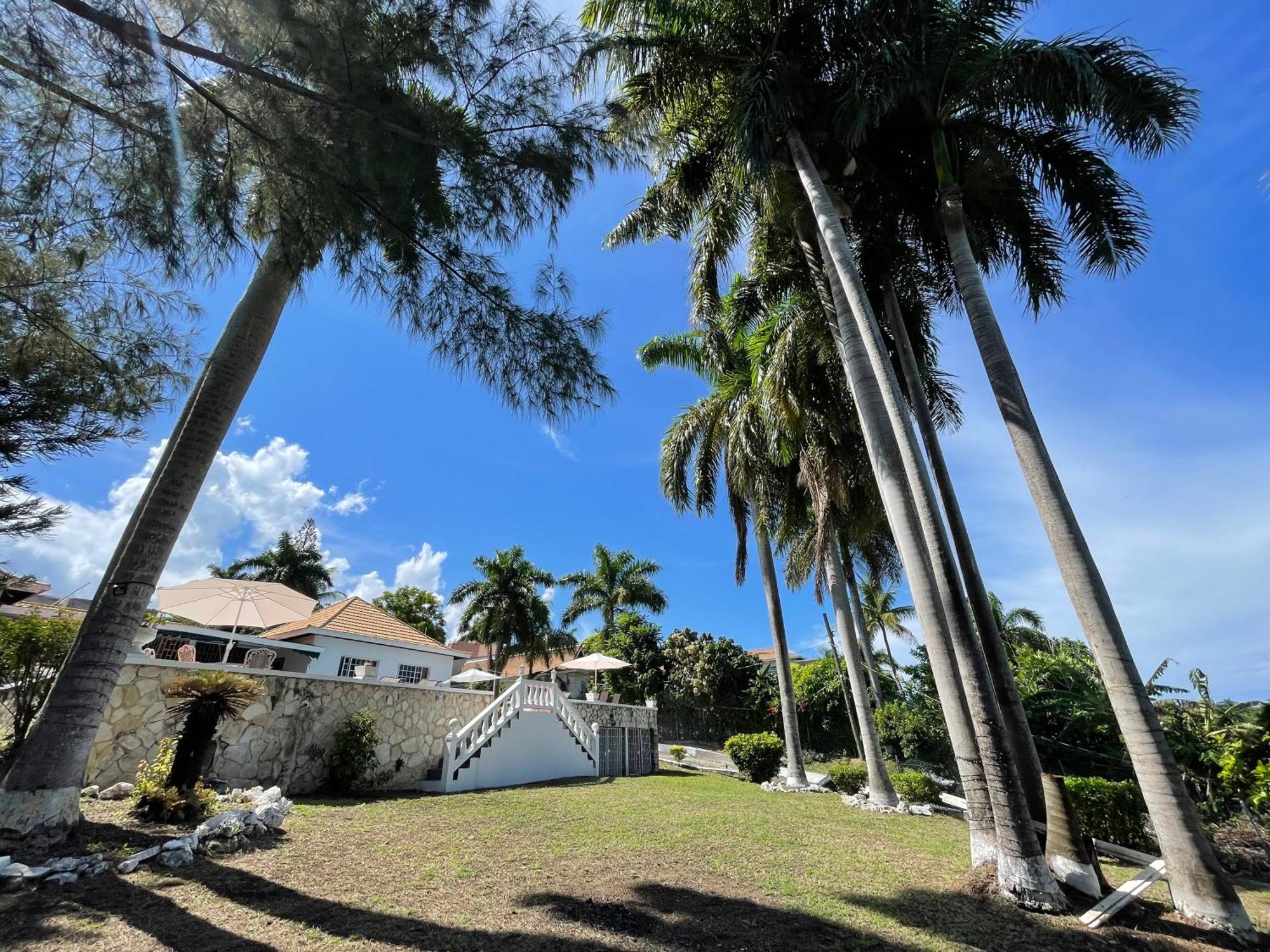 فندق Peaceful Palms مونتيغو باي المظهر الخارجي الصورة