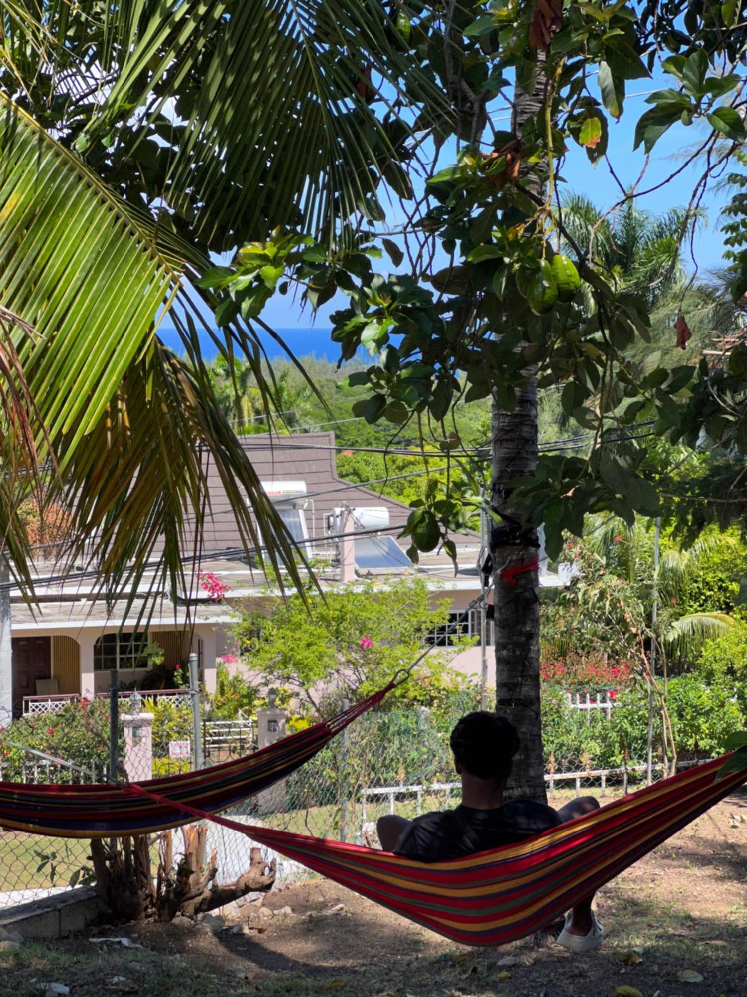 فندق Peaceful Palms مونتيغو باي المظهر الخارجي الصورة